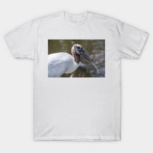 Wood stork 4 T-Shirt